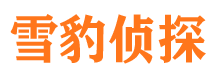 南雄侦探公司